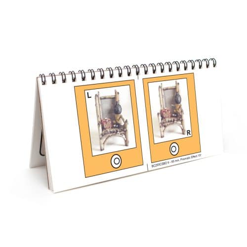 Slides for Bernell-O-Scope™, 3D figurer