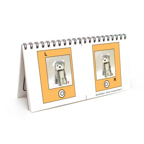 Slides for Bernell-O-Scope™